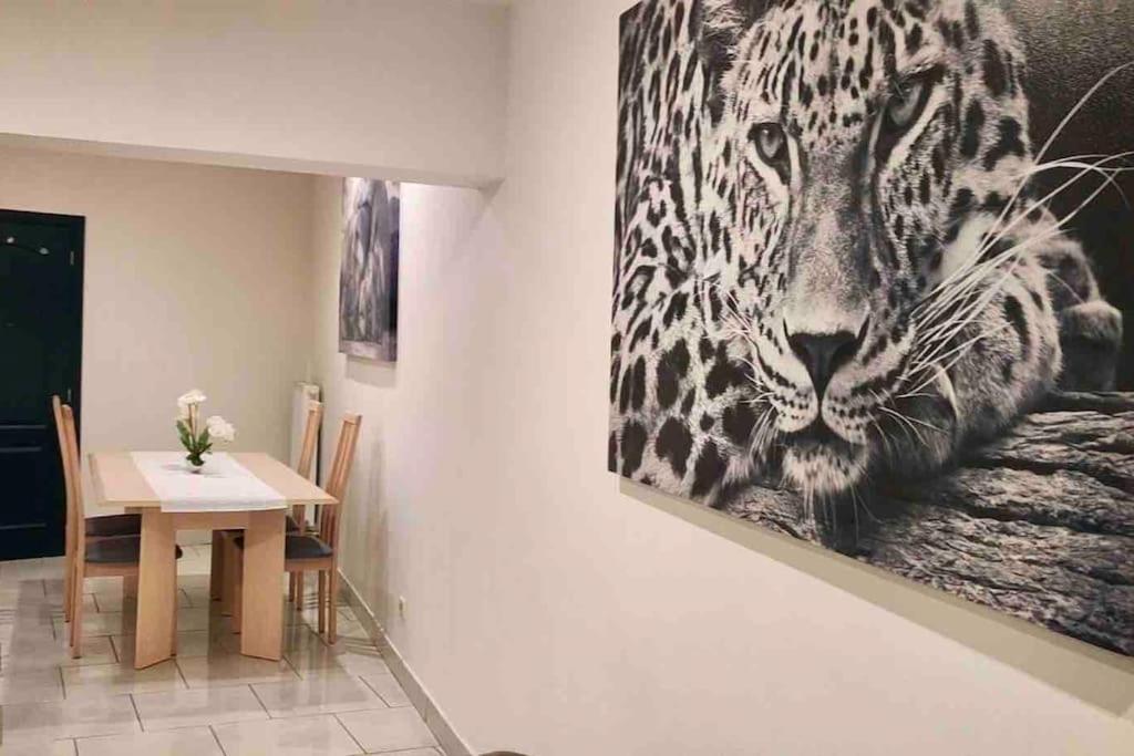 Bel Appartement Confortable Mons Exterior foto